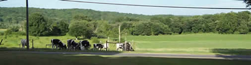 Tiffany Farm panoramic view